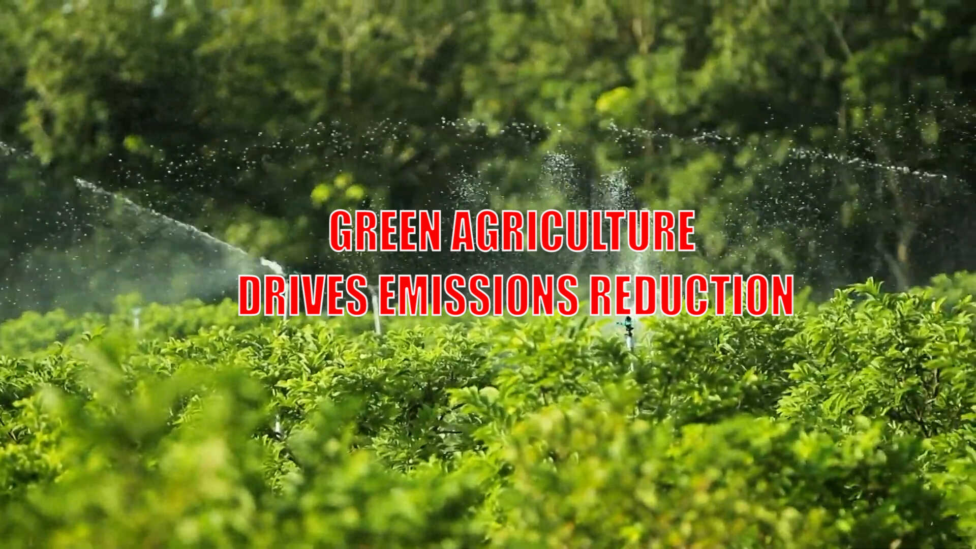 Green agriculture drives emissions reduction